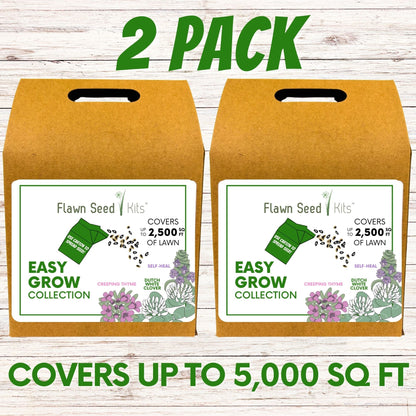 Easy Grow Dutch Clover Bee Lawn Eco-Friendly Kit