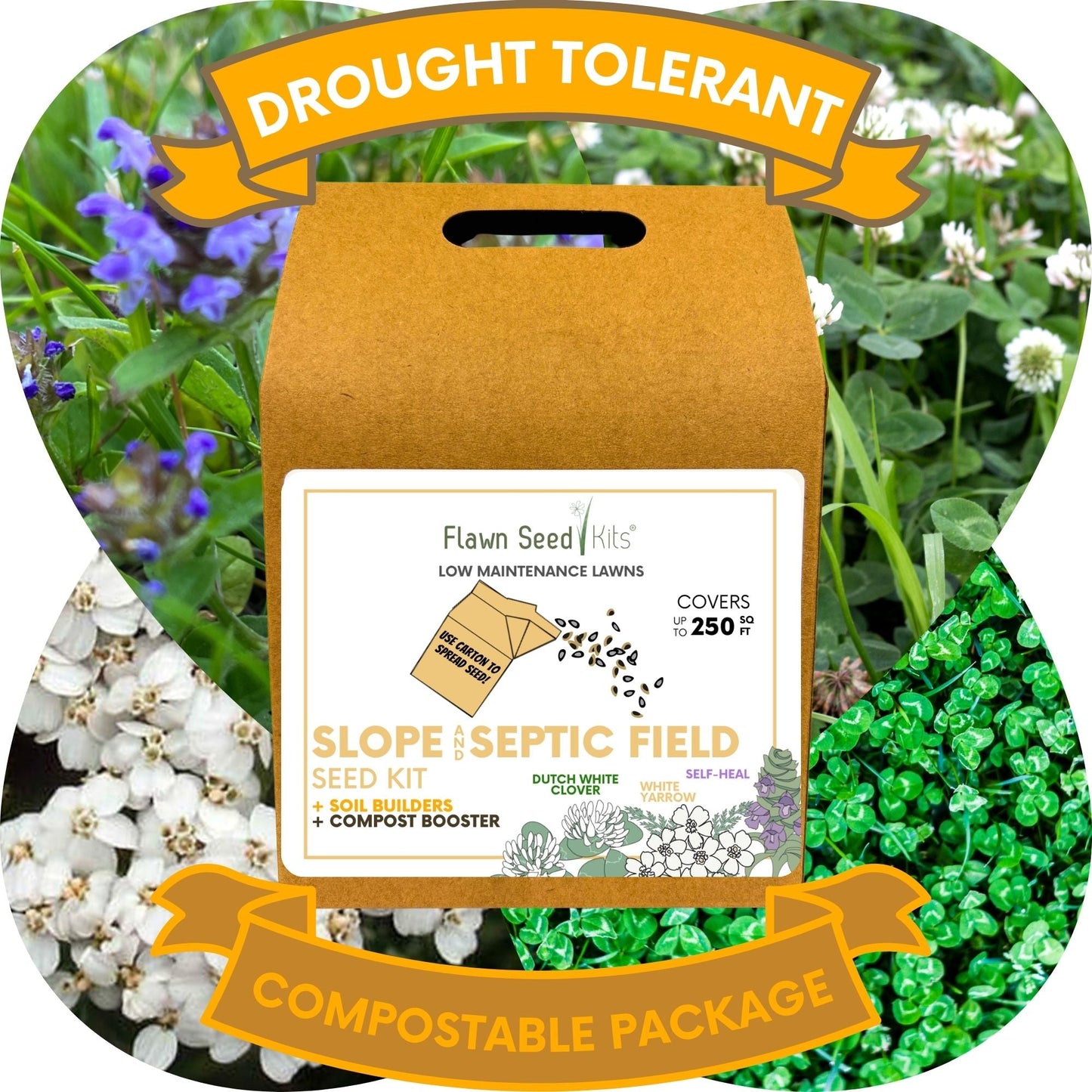 Slope and Septic System Seed Kit