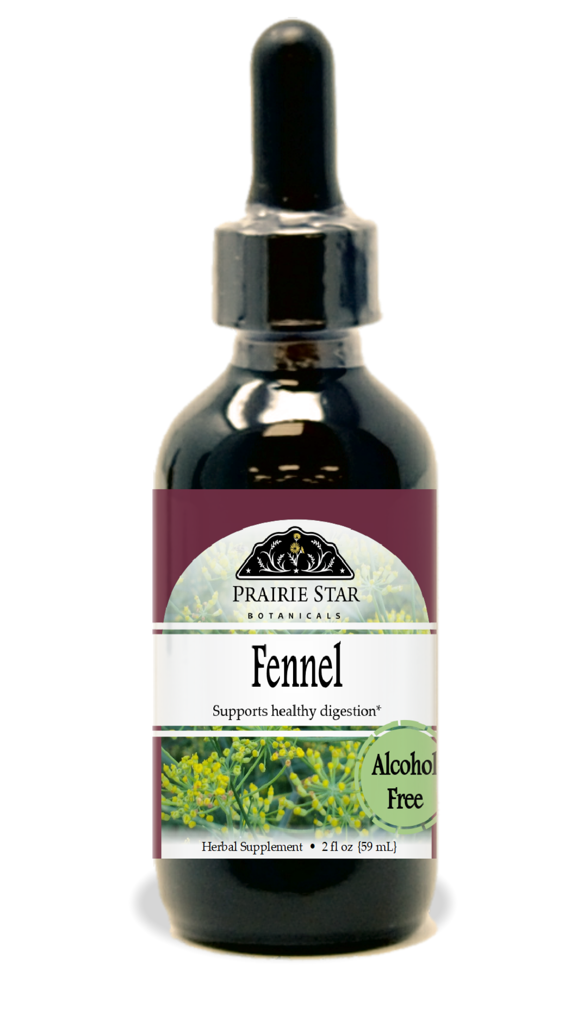 Fennel Seed Tincture or Glycerite