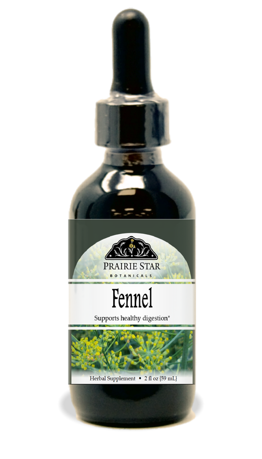 Fennel Seed Tincture or Glycerite