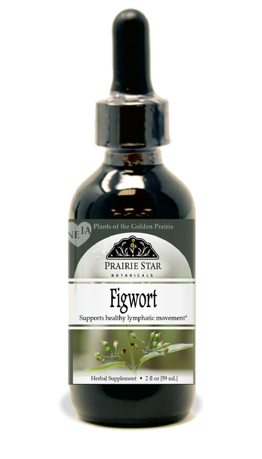 Figwort Tincture