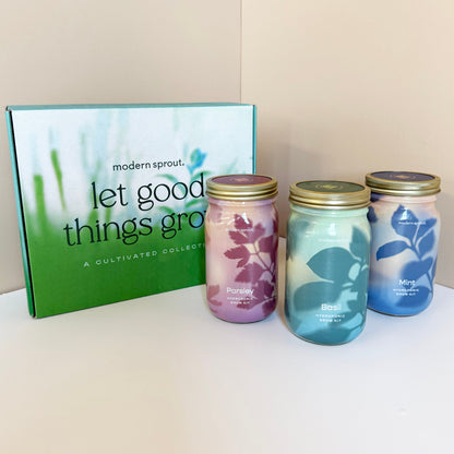 Garden Jars - Organic Herbs