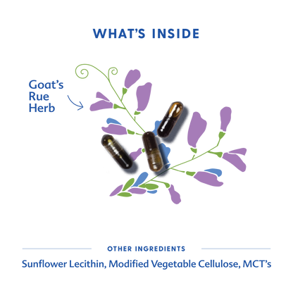 Goat's Rue - Liquid Capsules