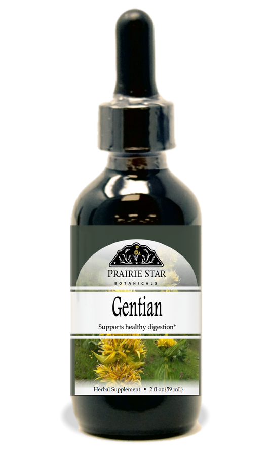 Gentian Tincture or Glycerite