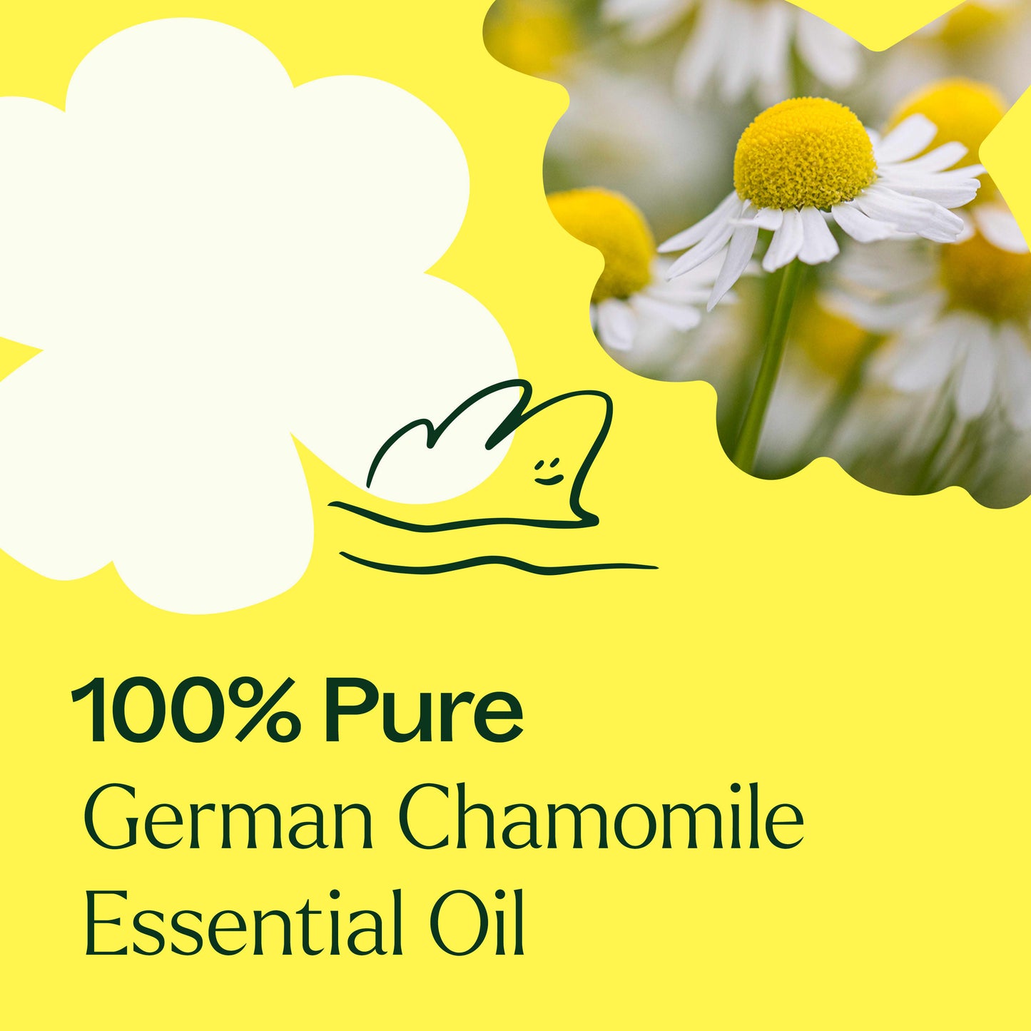 German Chamomile Essential Oil