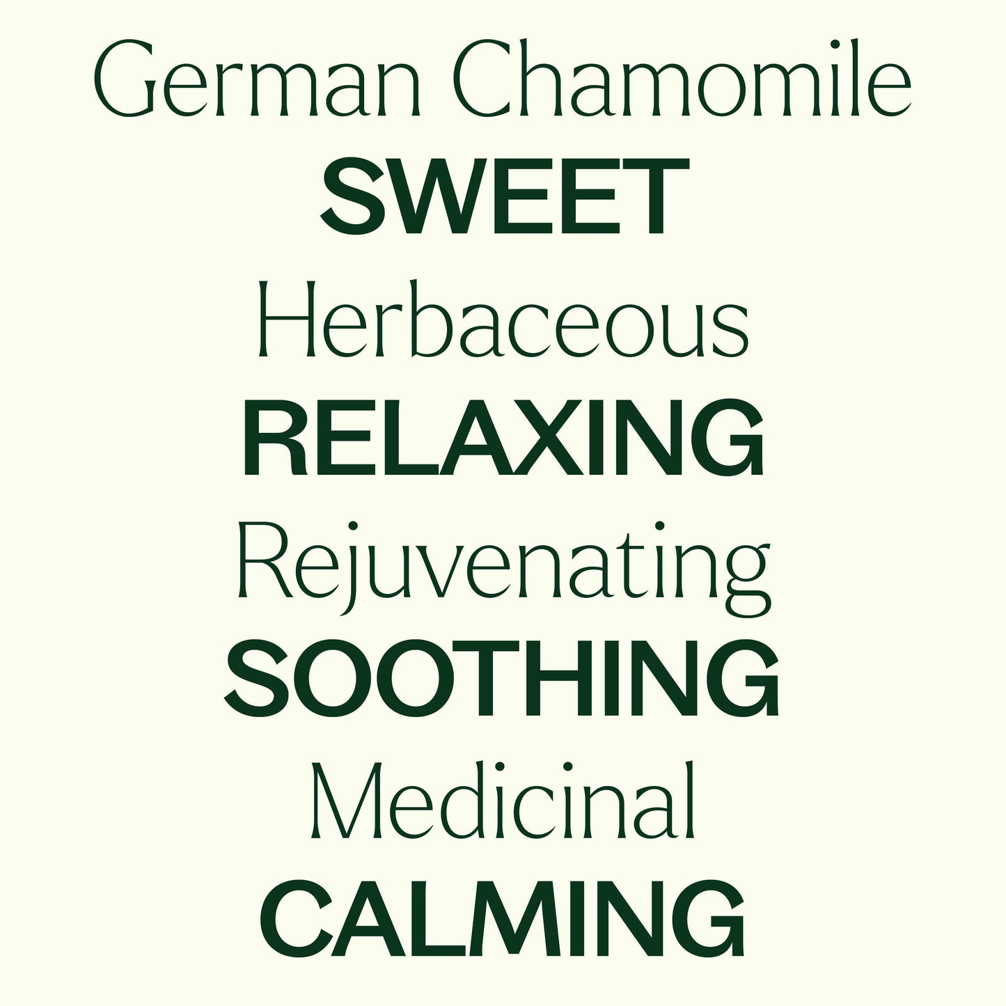 German Chamomile Essential Oil
