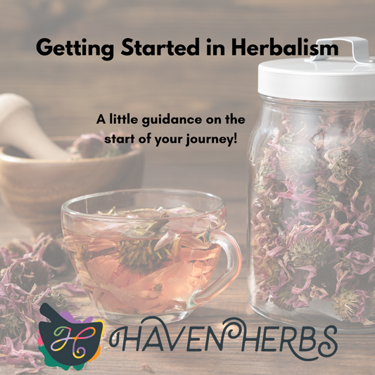 Exploring Wellness (July): Getting Started in Herbalism