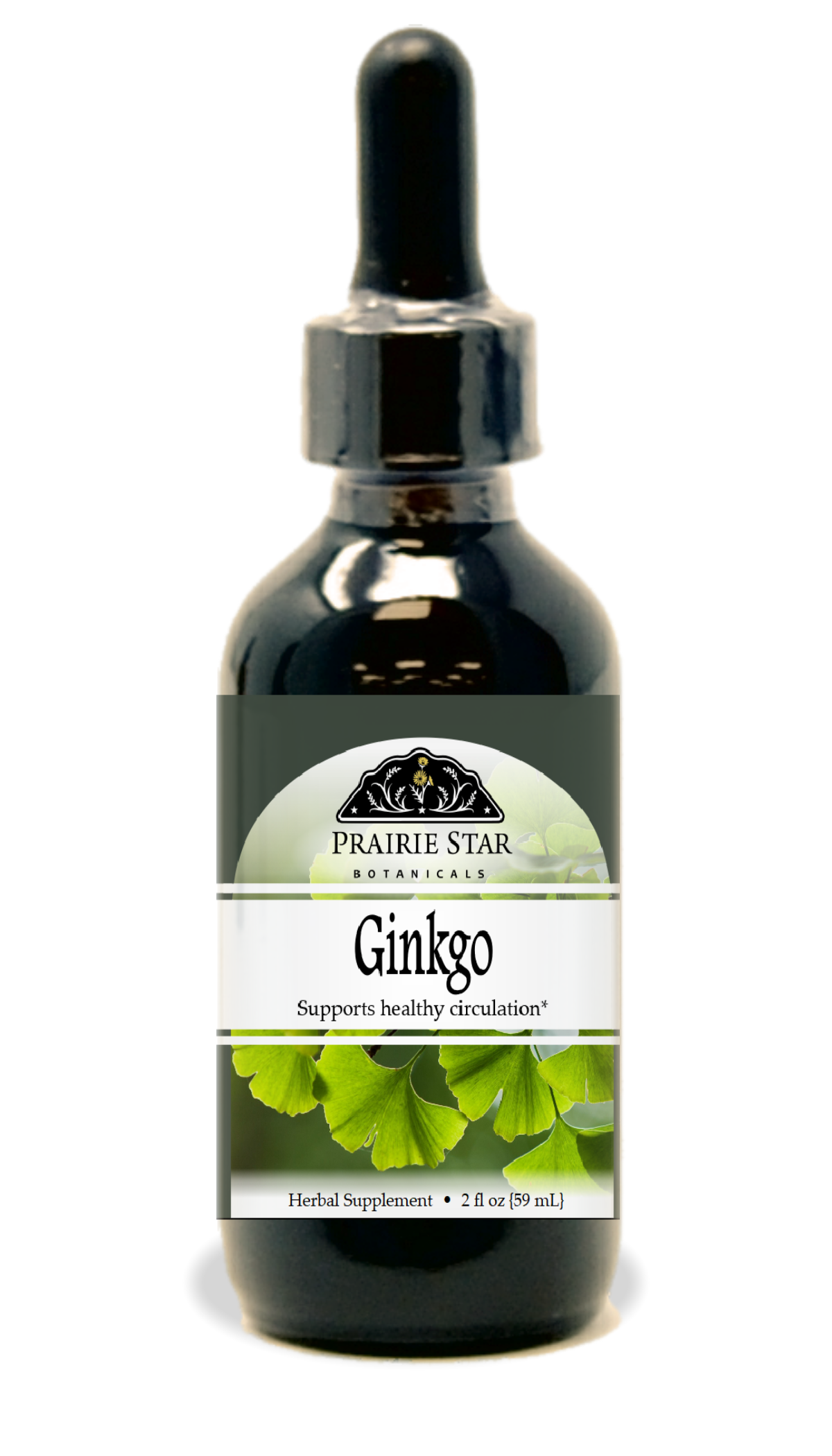 Ginkgo Tincture or Glycerite