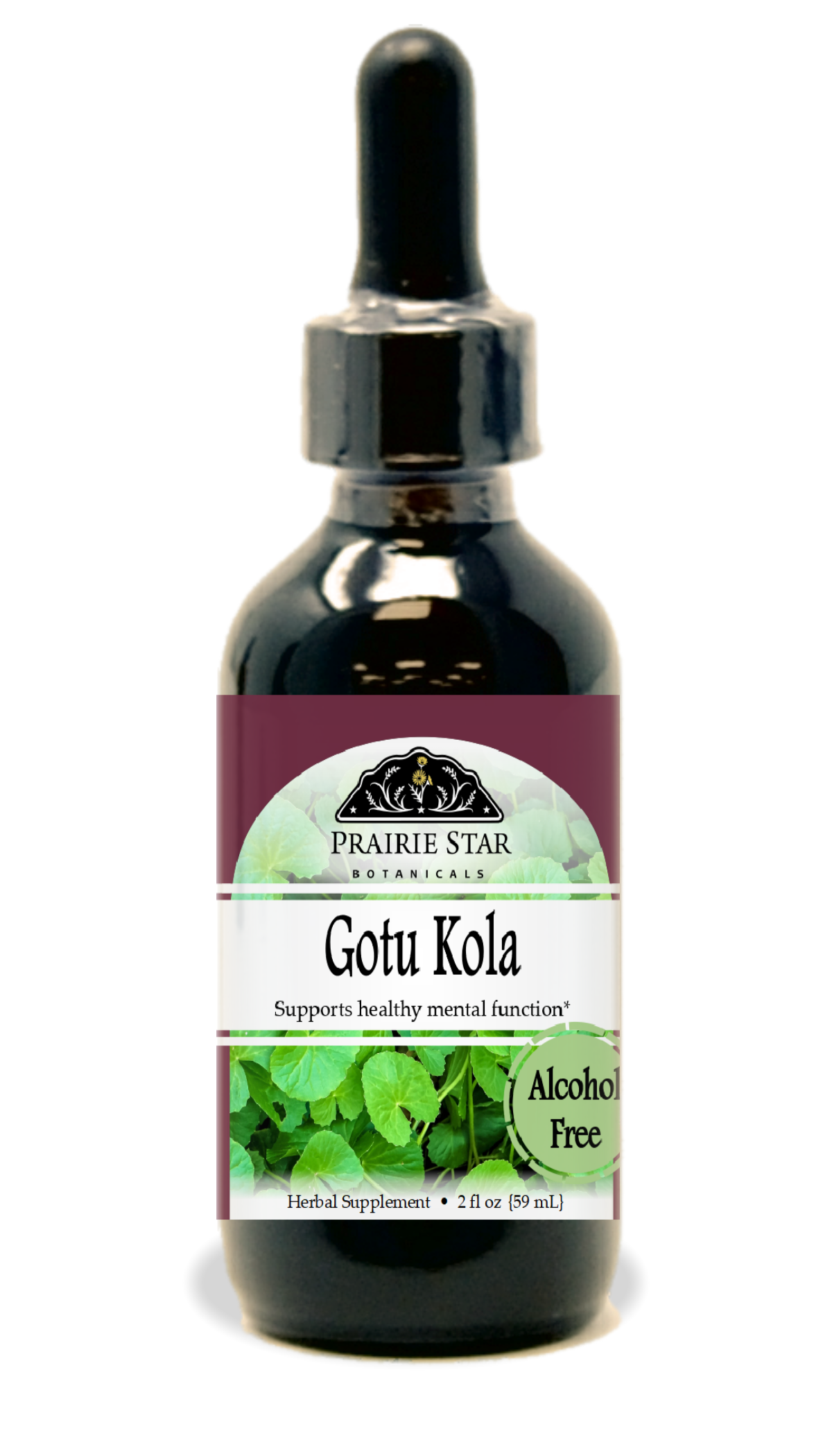 Gotu-kola Tincture or Glycerite