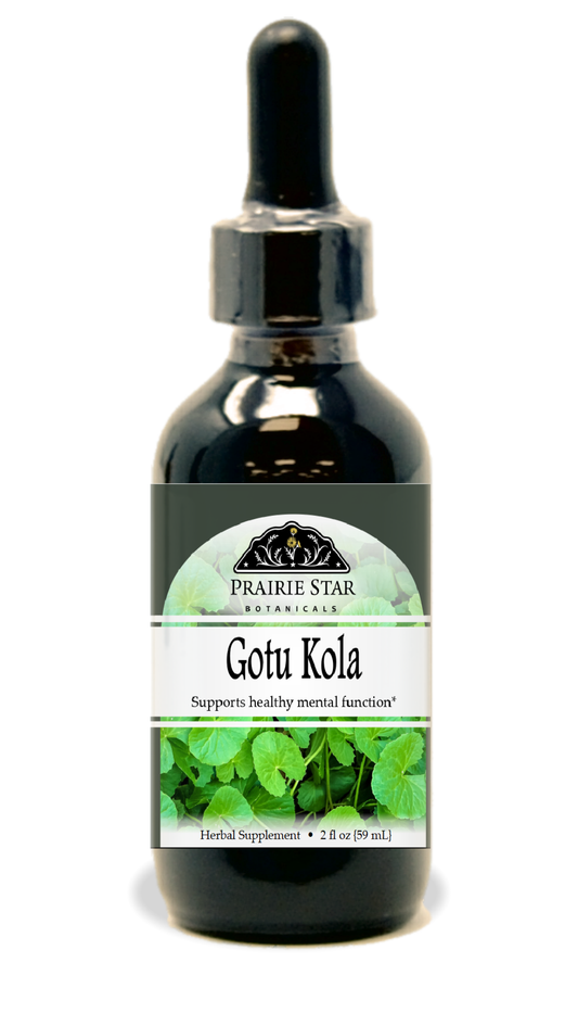 Gotu-kola Tincture or Glycerite