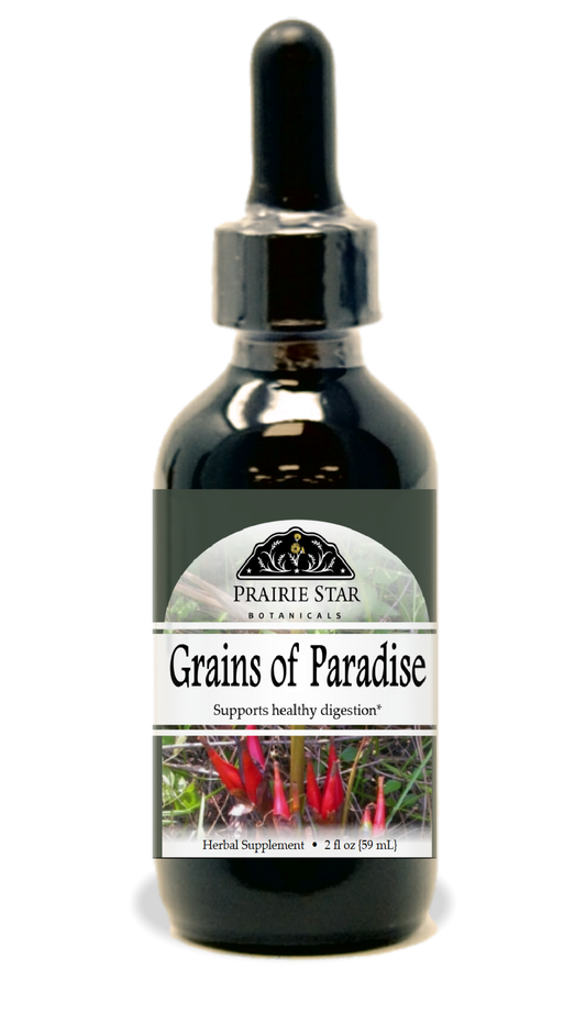 Grains of Paradise Tincture