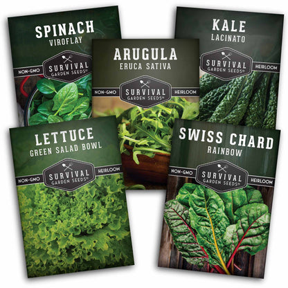 Greens Seeds Collection – 5 Heirloom Leafy Superfoods for Year-Round Growing Indoors or Outdoors