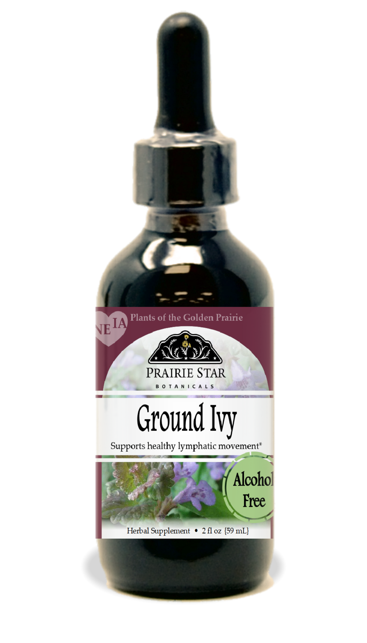 Ground Ivy Tincture or Glycerite