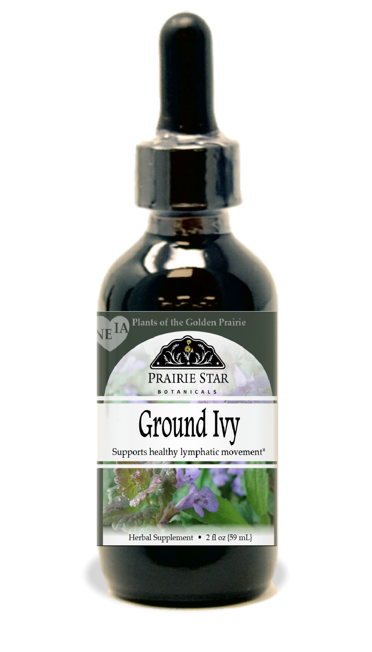 Ground Ivy Tincture or Glycerite