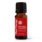 Grounded Foundation (Root Chakra) Essential Oil