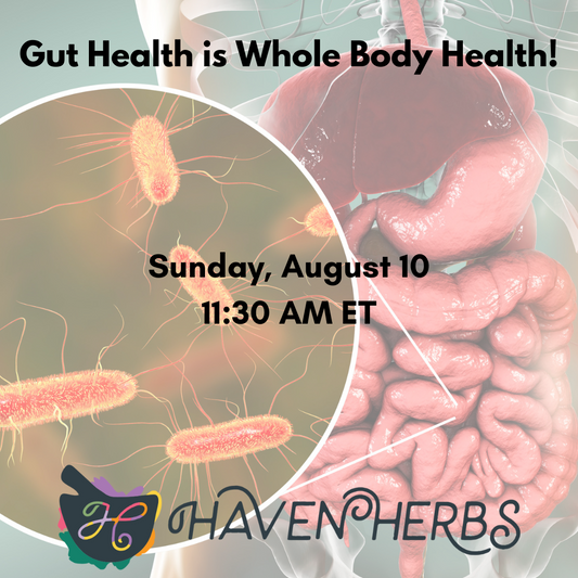 Exploring Wellness (August): Gut Health is Whole Body Health