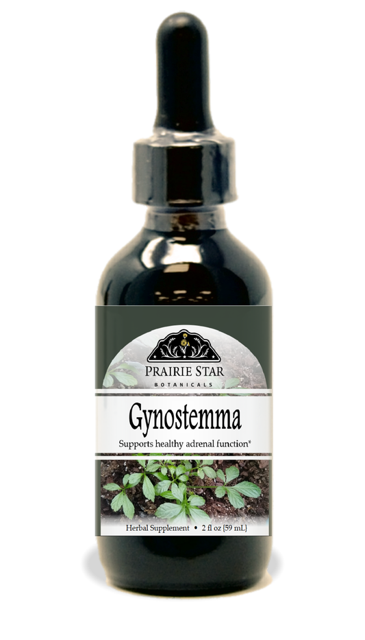 Gynostemma Tincture