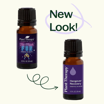 Hangover Recovery Essential Oil Blend 10mL