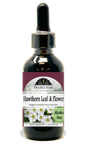 Hawthorn Tincture or Glycerite