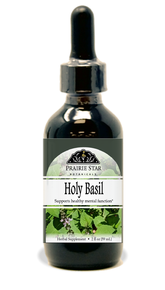Holy Basil (Tulsi) Tincture or Glycerite