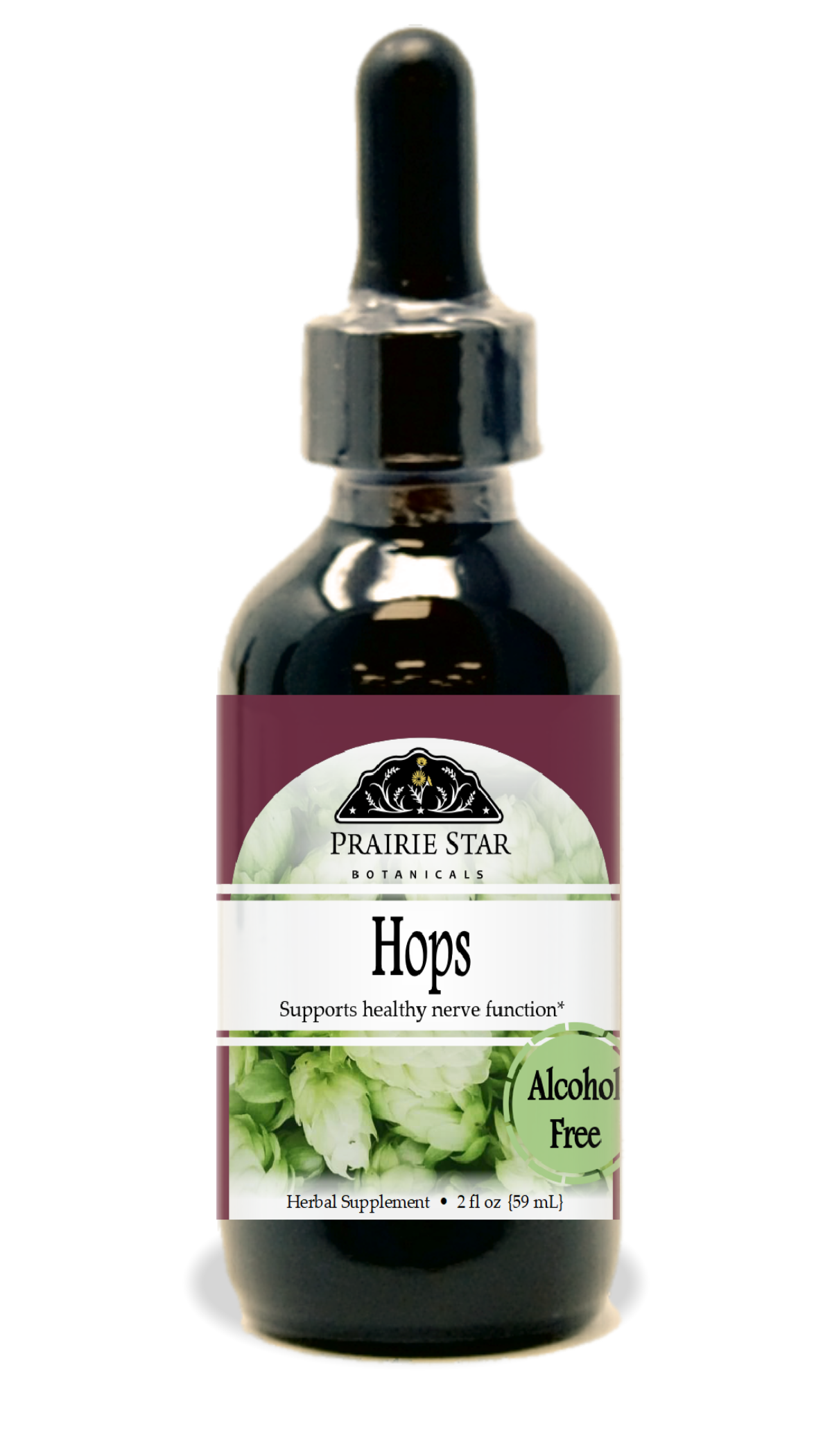 Hops Tincture or Glycerite