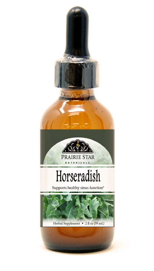 Horseradish Tincture or Glycerite