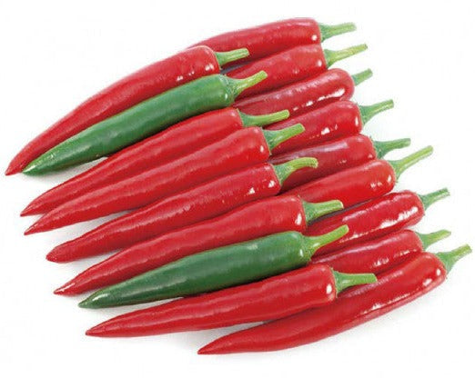 Hot Pepper-Agni