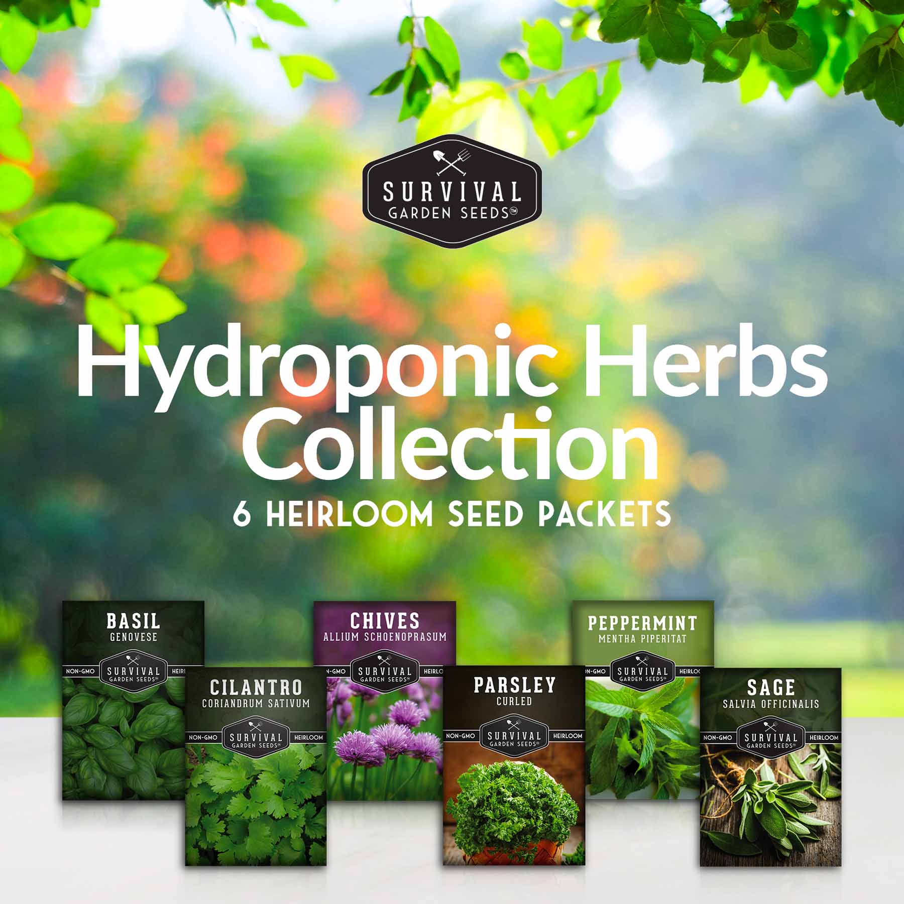 Indoor Herb Garden Hydroponic Seeds Collection – 6 Heirloom Non-GMO Cu –  Haven Herbs