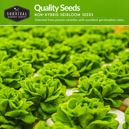 Hydroponic Vegetable Seeds Kit – 6 Heirloom Leafy Greens for Aerogardens, Towers & Indoor Year-Round Growing