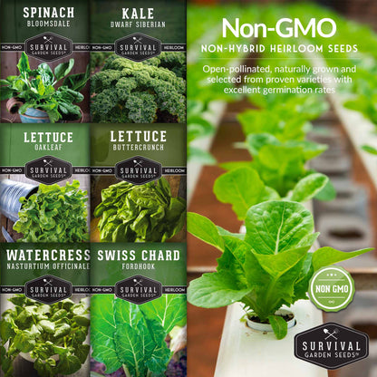 Hydroponic Vegetable Seeds Kit – 6 Heirloom Leafy Greens for Aerogardens, Towers & Indoor Year-Round Growing