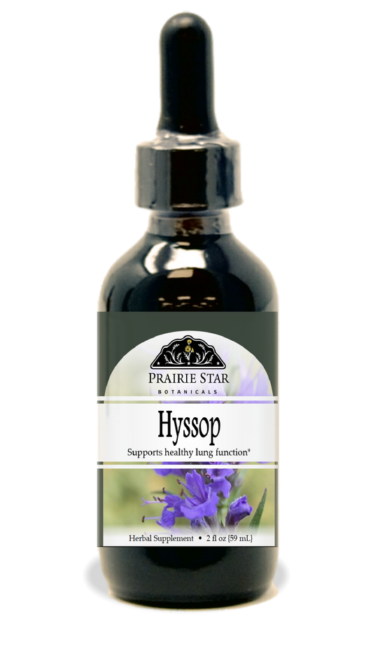 Hyssop Tincture or Glycerite