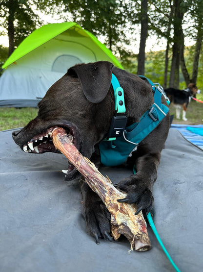 Lamb Shank (GFF & Pasture Raised)