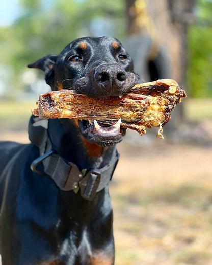 Lamb Shank (GFF & Pasture Raised)