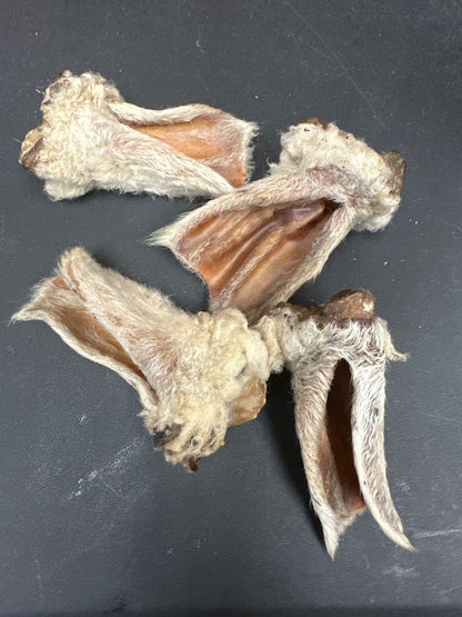 Lamb Ears (Furry & Non Fur)