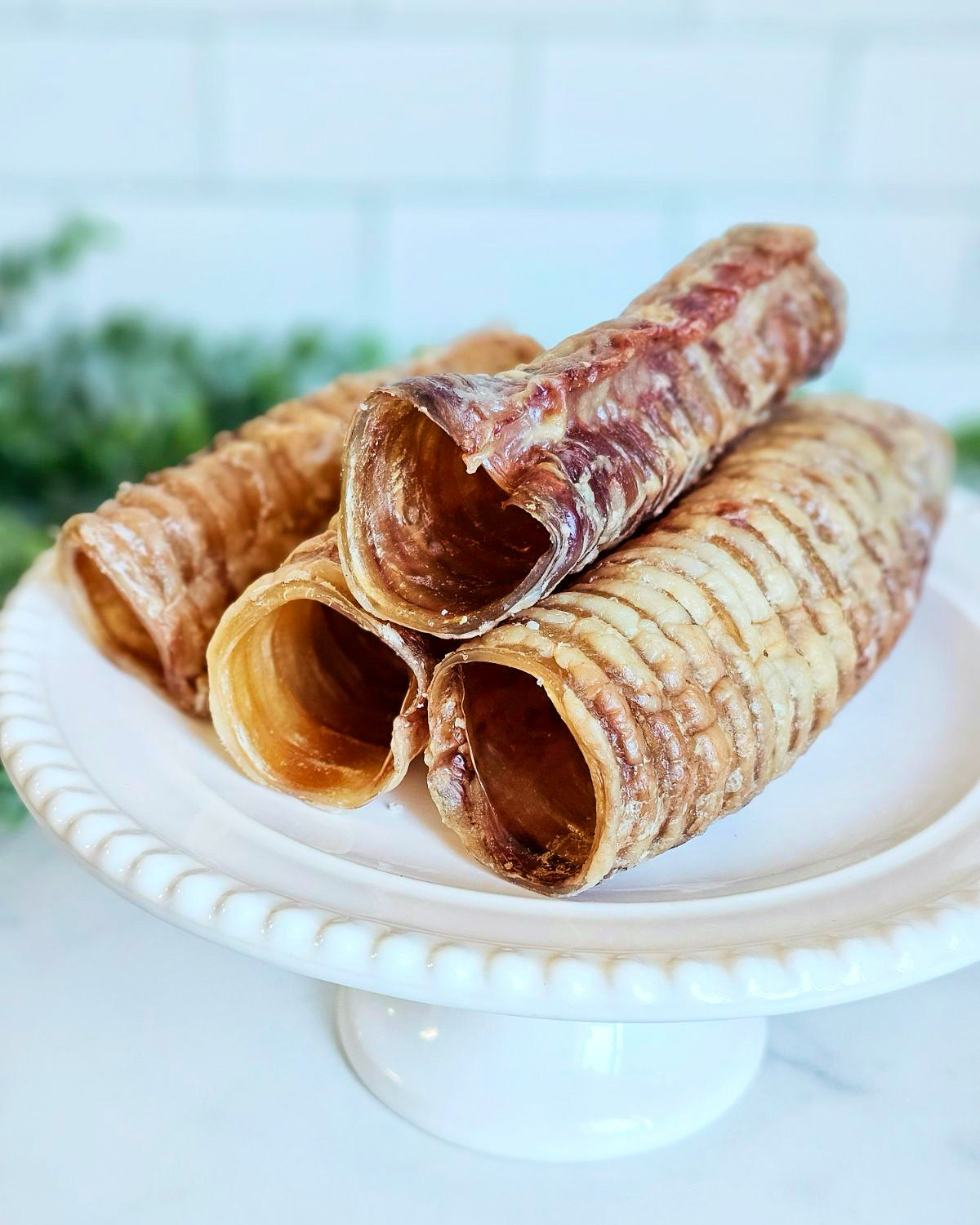 Beef Trachea (Grass Fed & Finished)