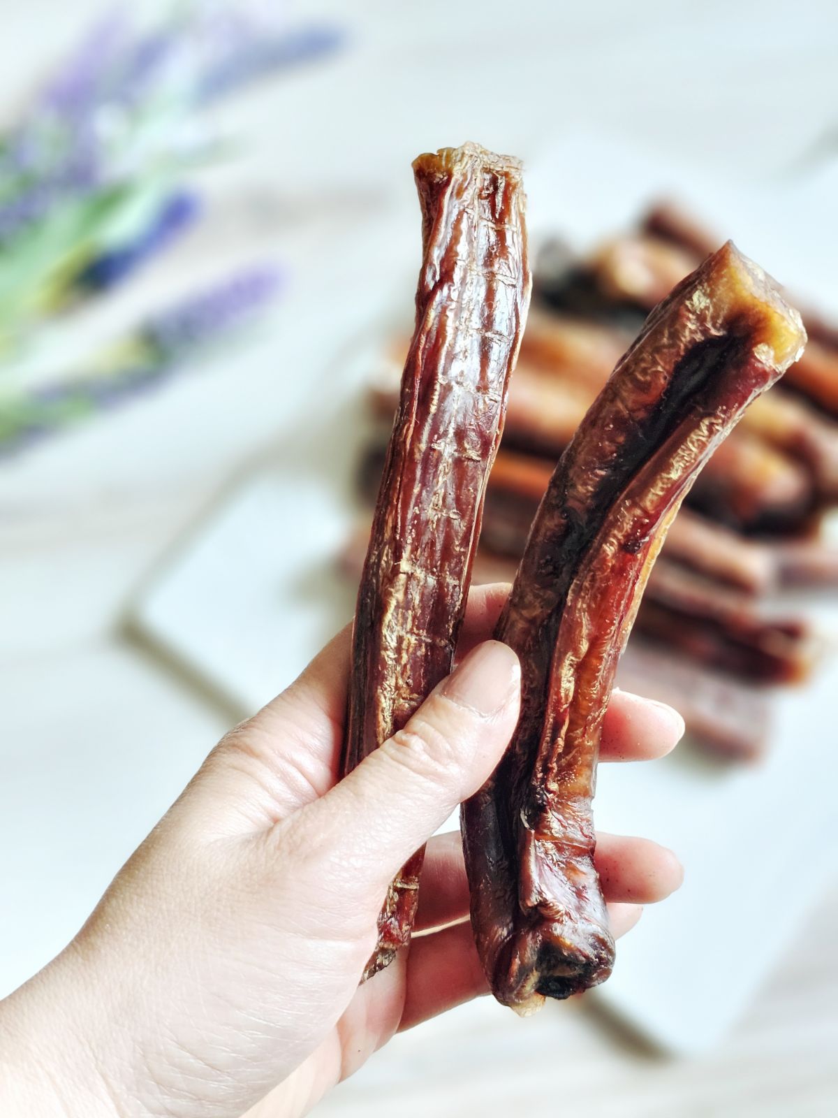 Beef Pizzle (Sticks, Loops, Short,