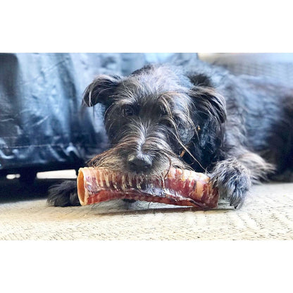 Beef Trachea (Grass Fed & Finished)