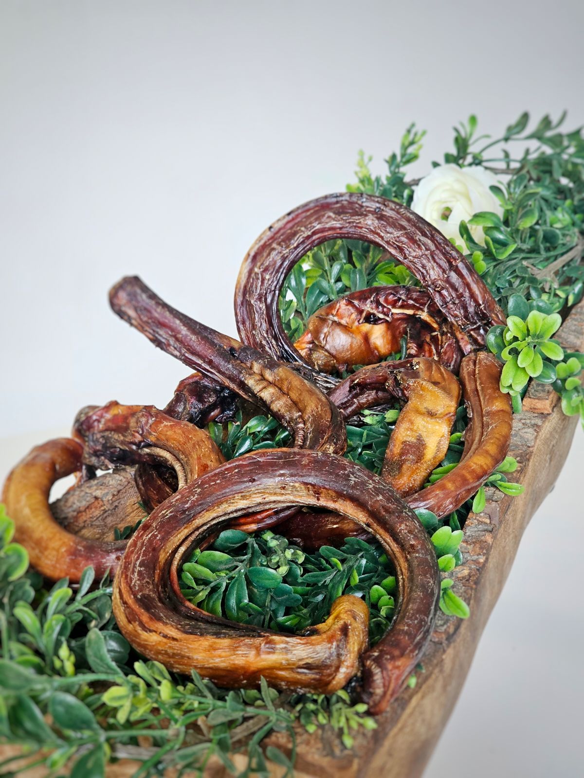 Beef Pizzle (Sticks, Loops, Short,