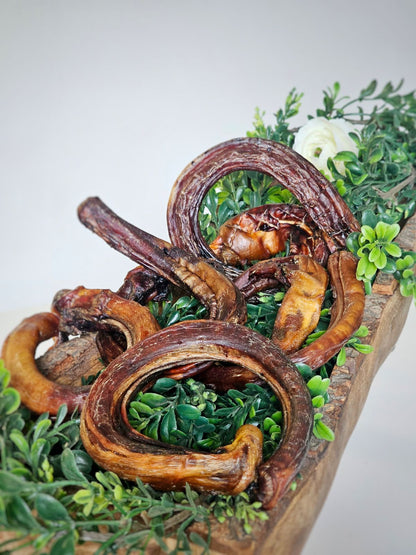 Beef Pizzle (Sticks, Loops, Short,