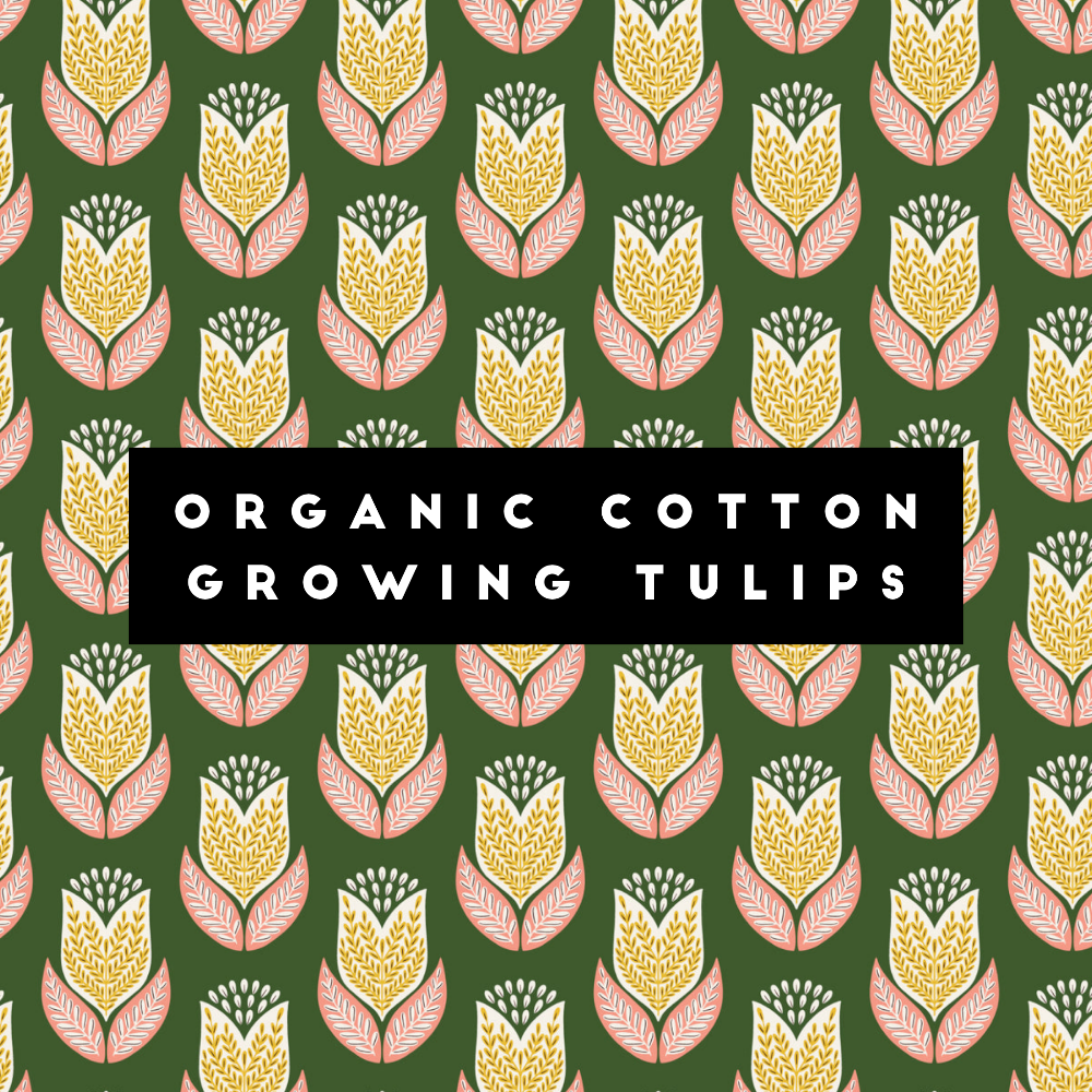 Bread Bag | Beeswaxed