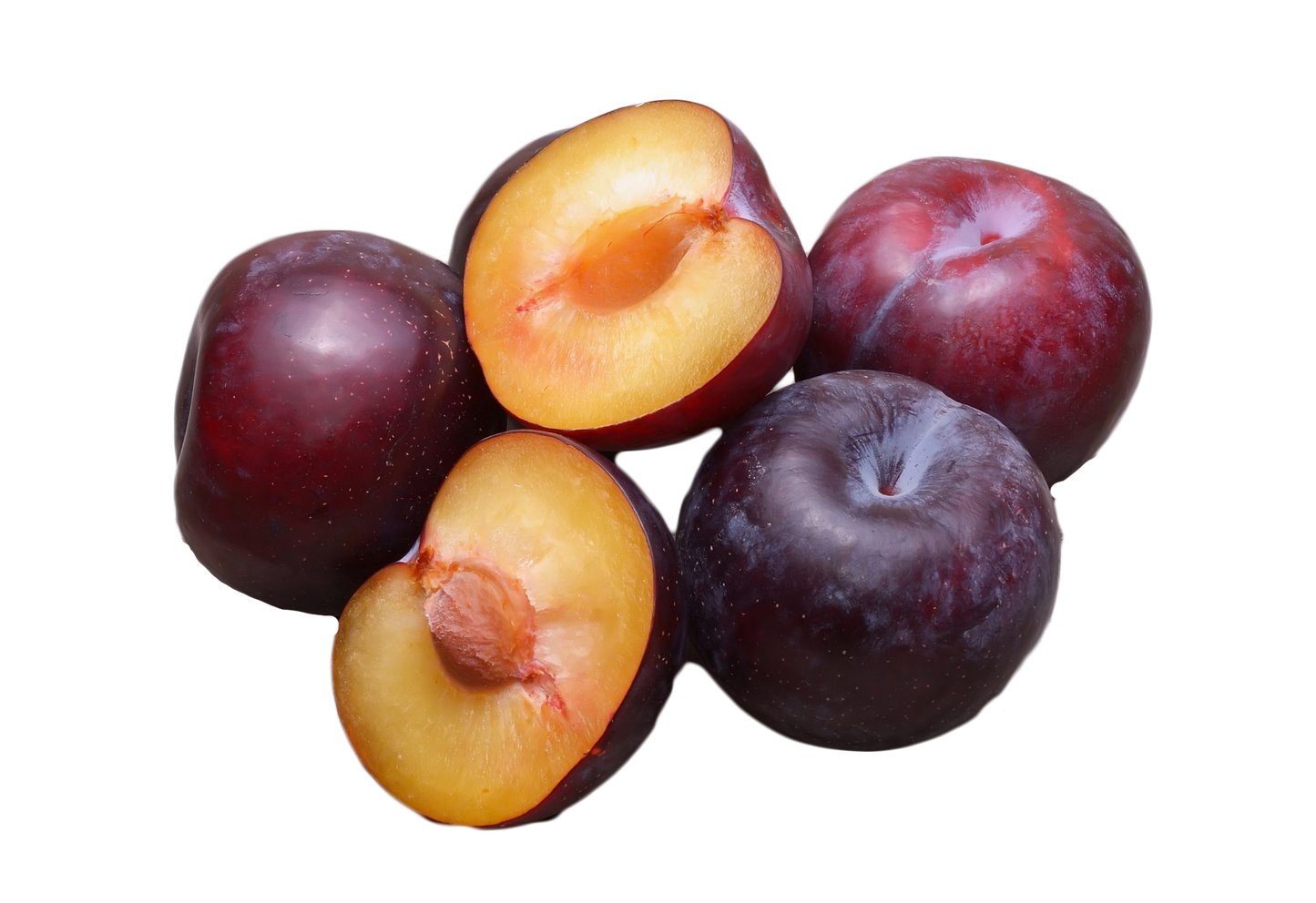 5 American Plum (Prunus Americana) Seeds
