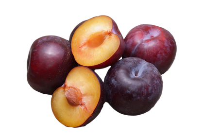5 American Plum (Prunus Americana) Seeds