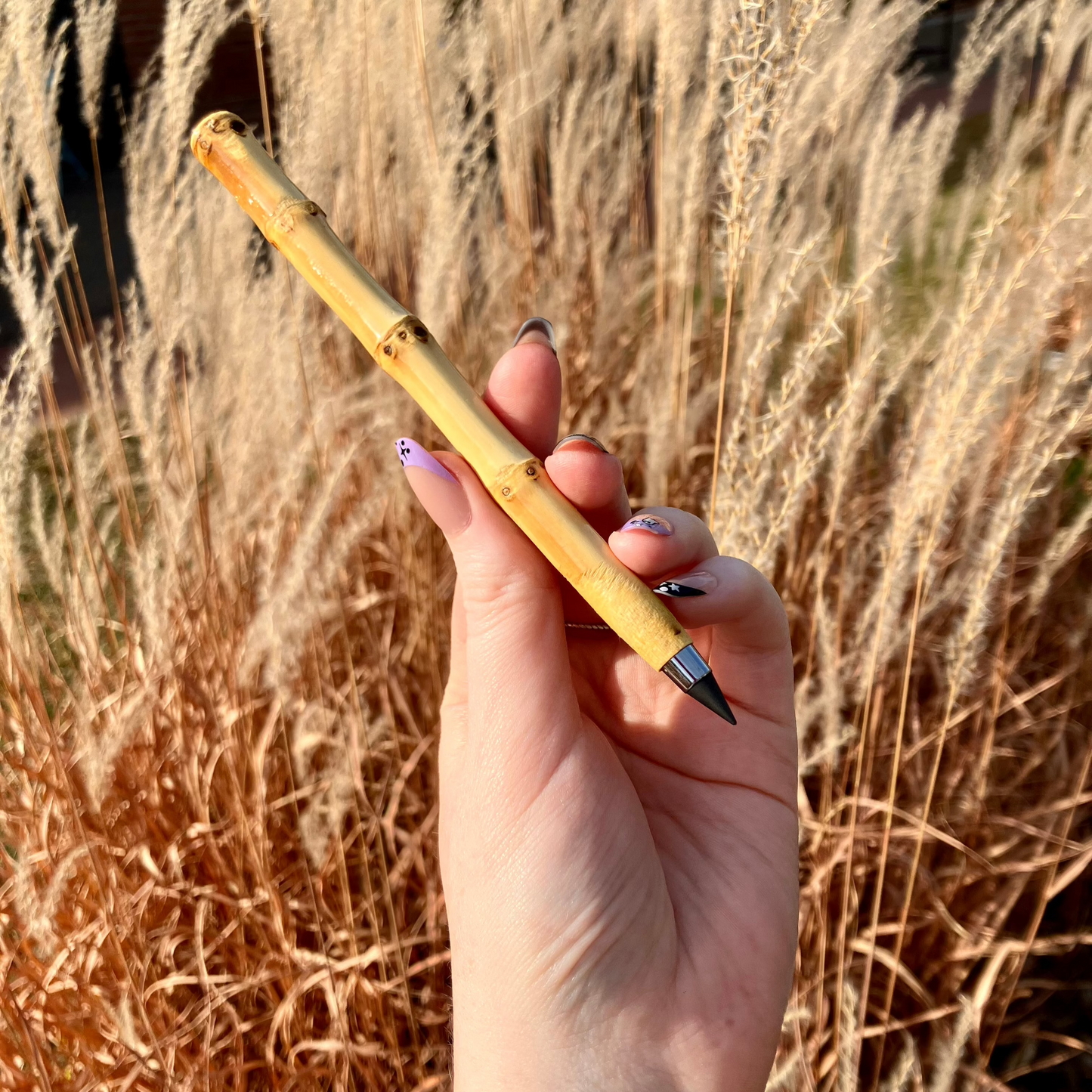 Bamboo Root Pencil | Never Ending