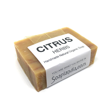 Citrus Herbs Bar Soap