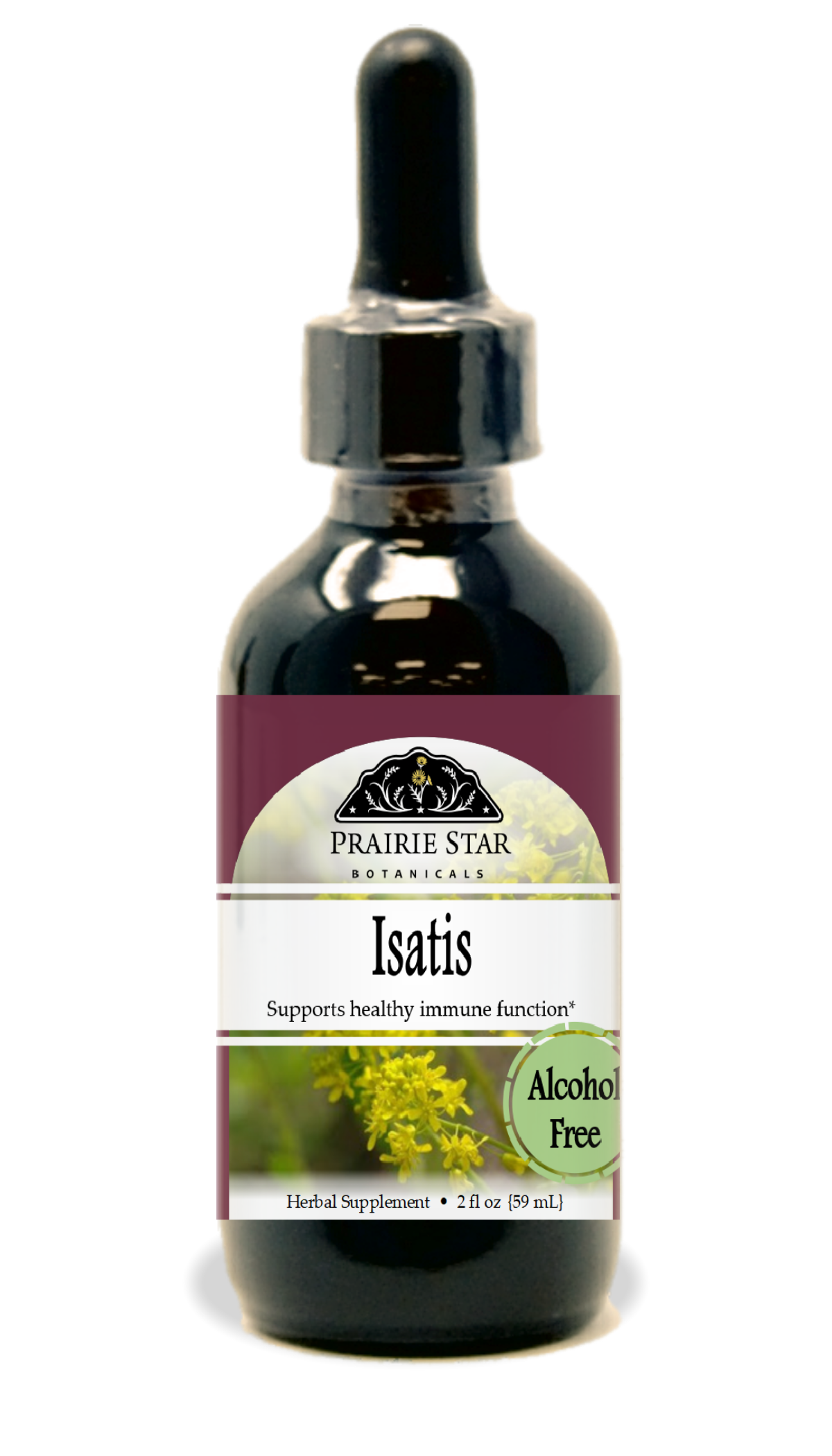 Isatis Tincture or Glycerite