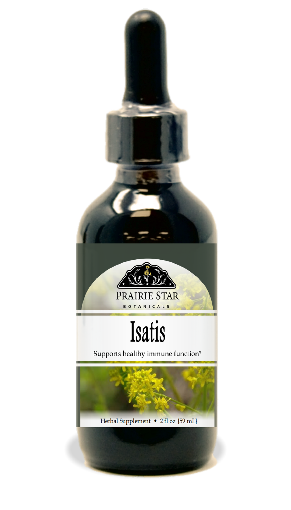 Isatis Tincture or Glycerite
