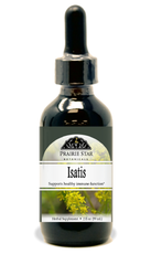 Isatis Tincture or Glycerite