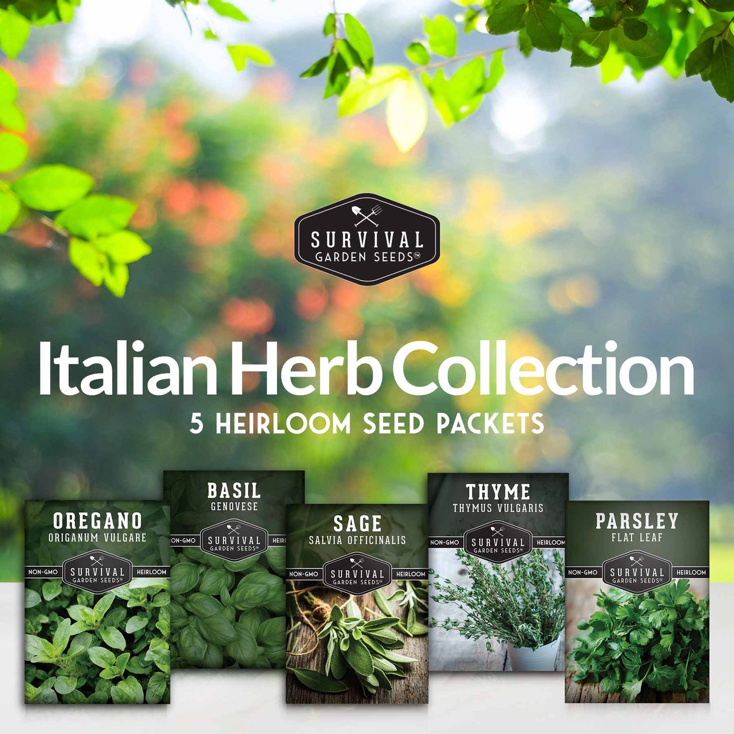Italian Herb Seed Collection - 5 Classic Italian Flavors
