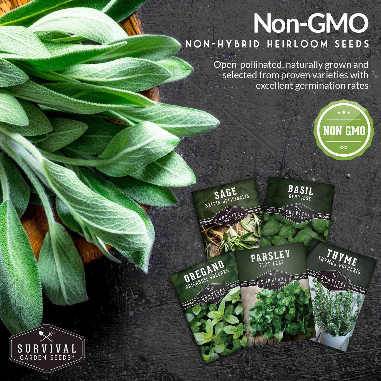 Italian Herb Seed Collection - 5 Classic Italian Flavors