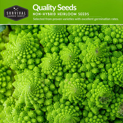 Italian Collection - Romanesco Broccoli, Black Beauty Eggplant, Lacinato Kale, Lolla Rossa Lettuce, Marconi Red Pepper, Roma Tomato
